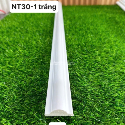 Phào chỉ PS NT30-1